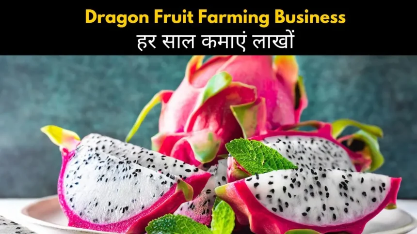 Dragon Fruit Farming Business